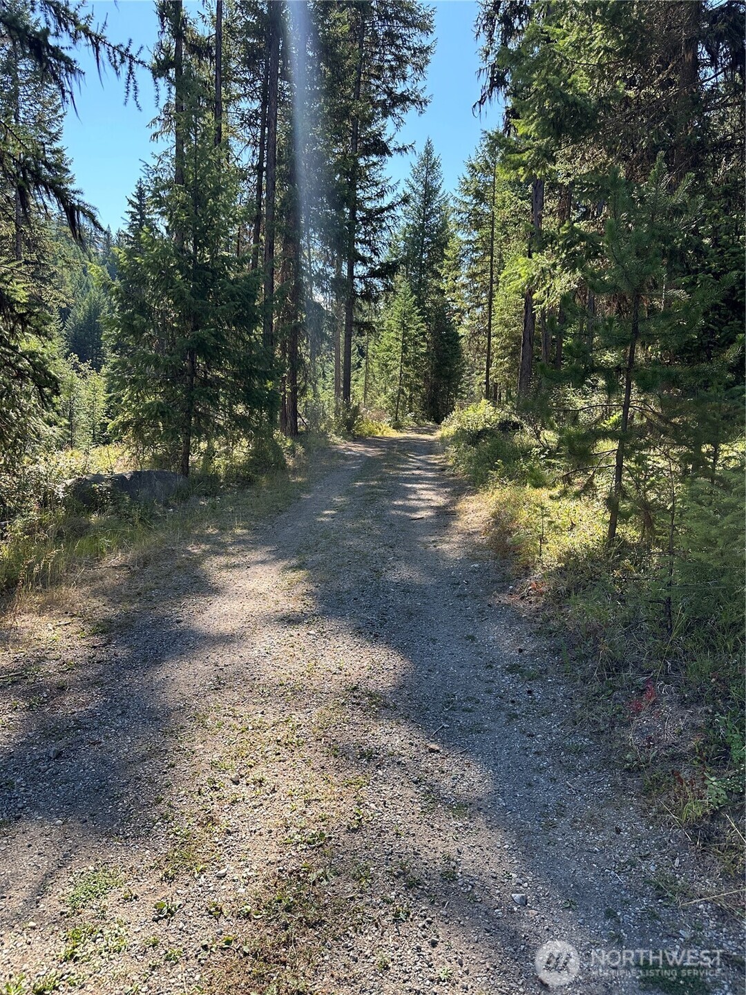 0 Sleepy Hollow Road Curlew, WA 99118 - Photo 39 of 39 a view of a forest with trees in the background