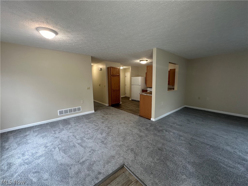 9060 Maple Grove Road Windham, OH 44288 - Photo 9 of 18 Carpeted spare room with a textured ceiling