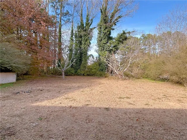 a view of dirt yard with a large tree