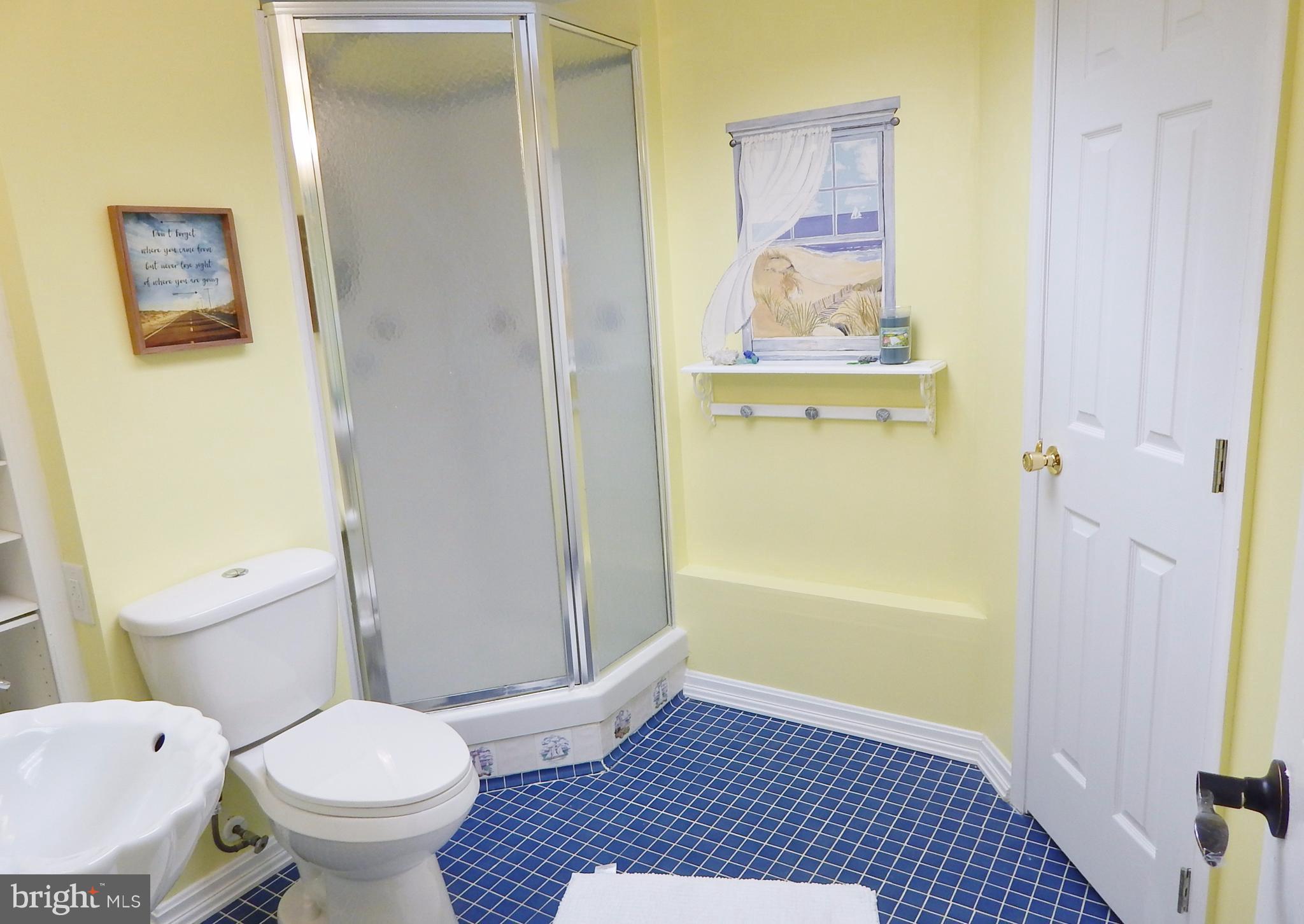 12251 Gallahan Road Fort Washington, MD 20744 - Photo 22 of 30 Full bath in basement
