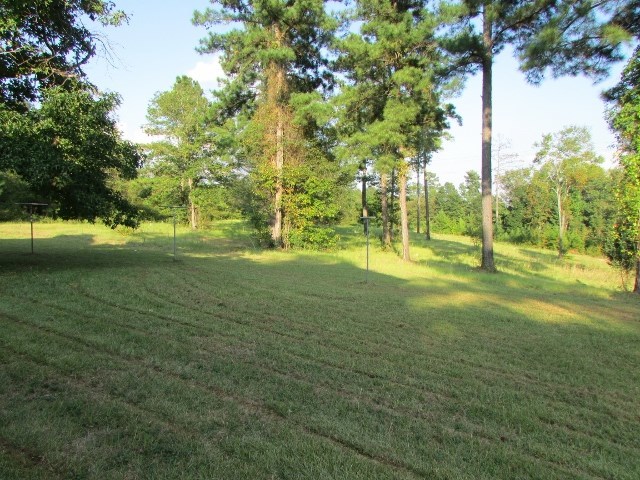 2218 Marion Road Dry Branch, GA 31020 - Photo 8 of 43 Additional Photo