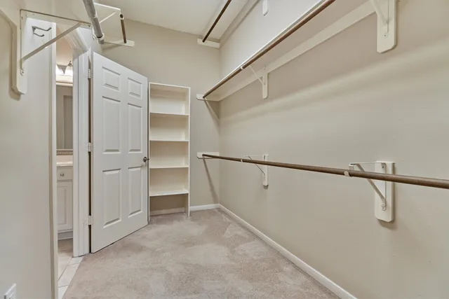a view of a backyard with plants and large tree