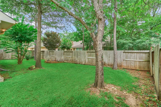 a view of a backyard with large trees and plants