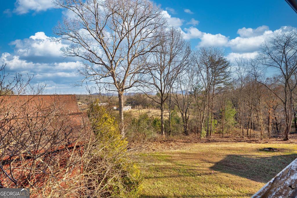 716 Lakeview Circle Morganton, GA 30560 - Photo 41 of 48