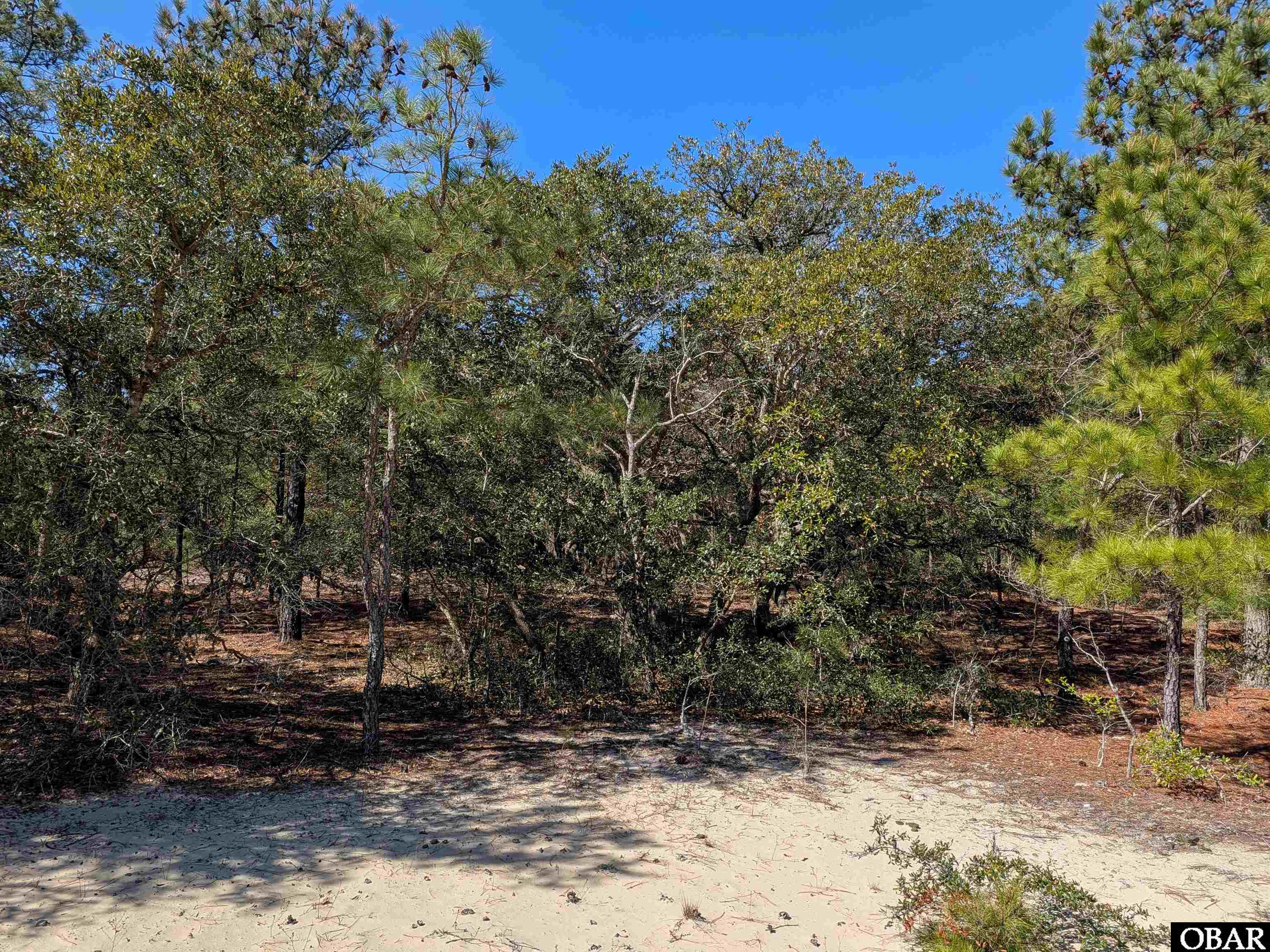 2206 Teal Road Corolla, NC 27927 - Photo 5 of 15