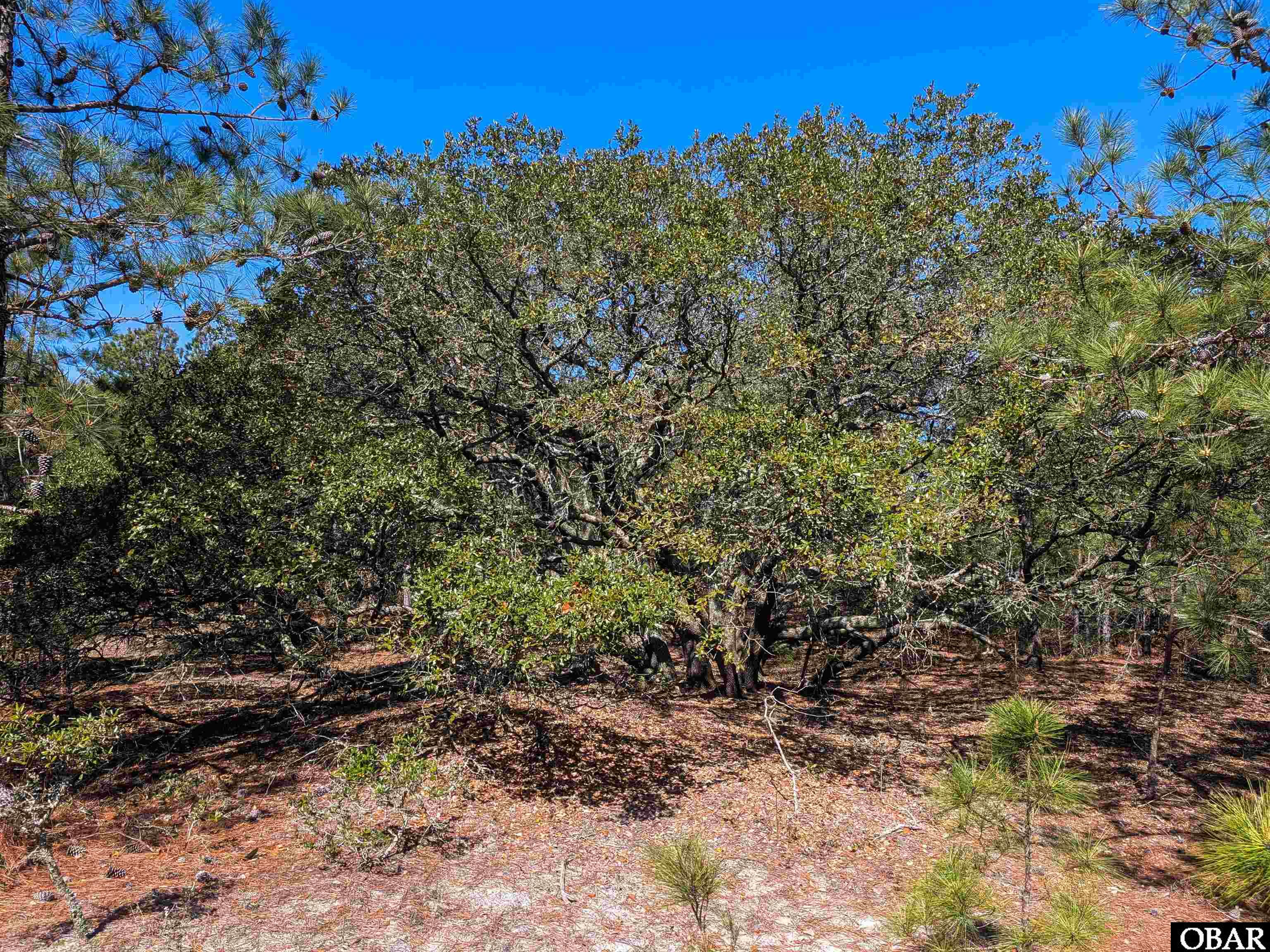 2206 Teal Road Corolla, NC 27927 - Photo 6 of 15