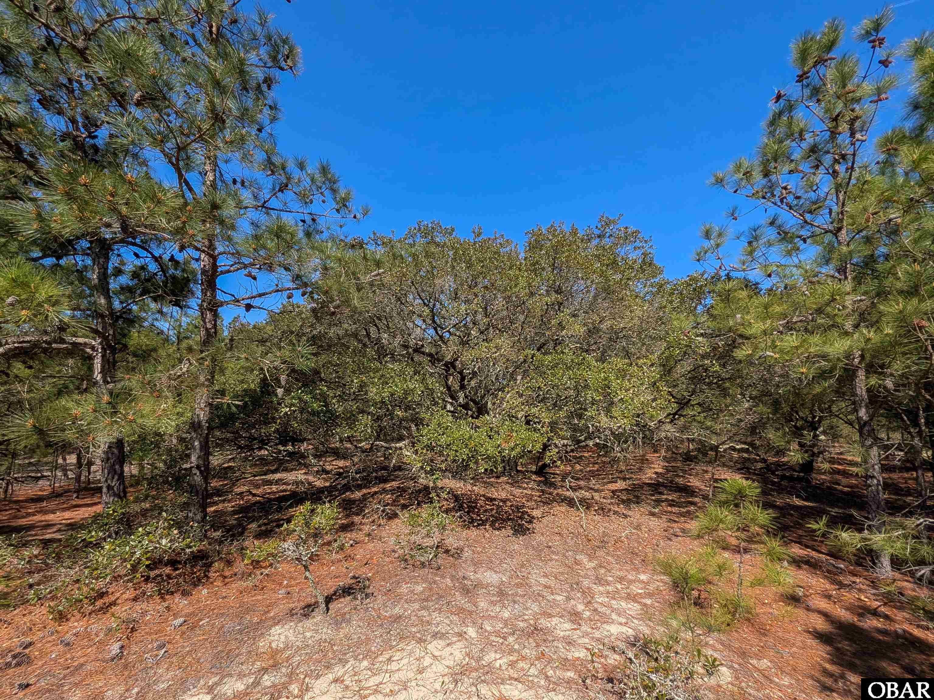 2206 Teal Road Corolla, NC 27927 - Photo 7 of 15