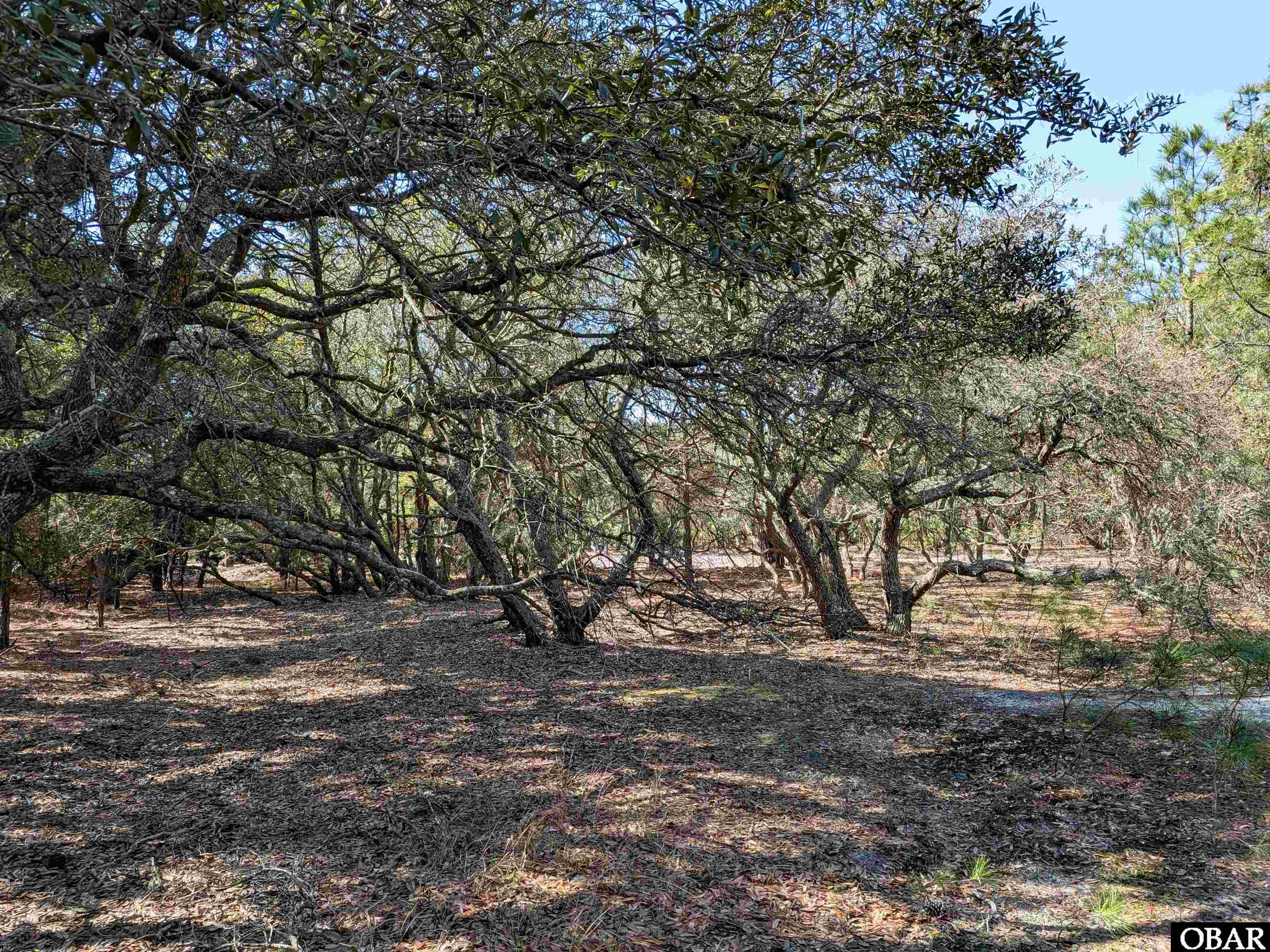 2206 Teal Road Corolla, NC 27927 - Photo 9 of 15