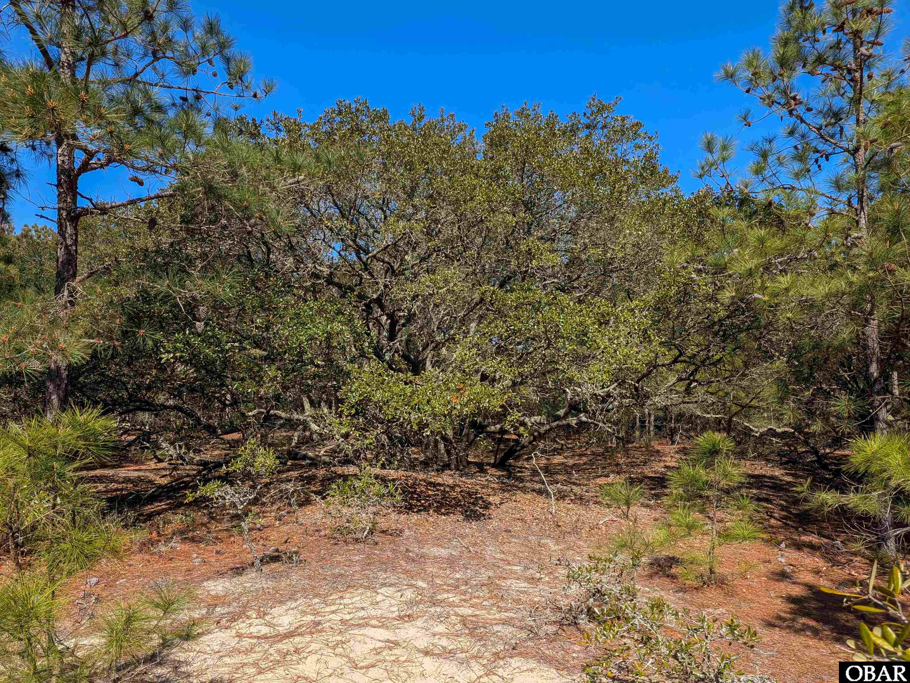 2206 Teal Road Corolla, NC 27927 - Photo 10 of 15