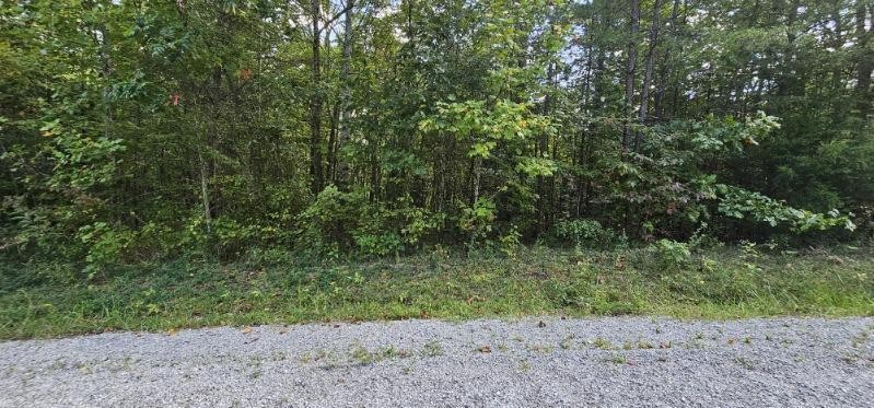 13 Bear Wallow Road Dunlap, TN 37327 - Photo 3 of 8 a view of a dry yard with trees