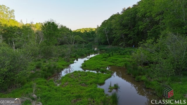 0 Moore Road Elberton, GA 30635 - Photo 35 of 67