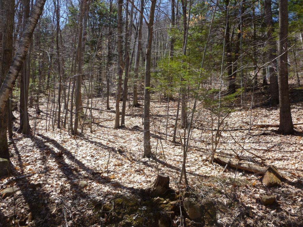 Lot 20 Range Road Holderness, NH 03245 - Photo 1 of 6 Gallery Image 1