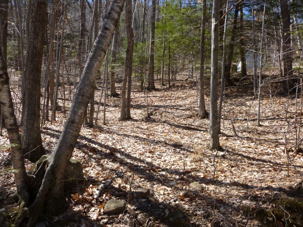 Lot 20 Range Road Holderness, NH 03245 - Photo 2 of 6 Gallery Image 2