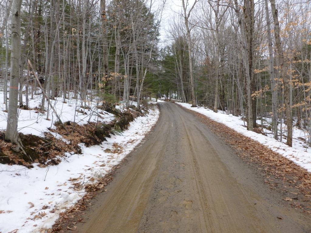 Lot 20 Range Road Holderness, NH 03245 - Photo 6 of 6 Gallery Image 6