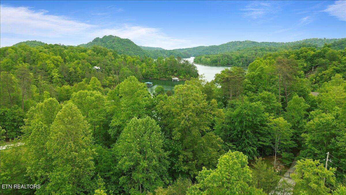 17 Mountain Shores Road New Tazewell, TN 37825 - Photo 15 of 18 15-Mountain Shores