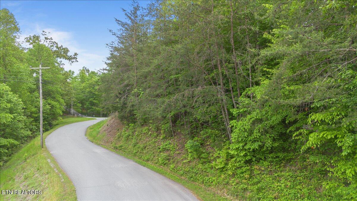 17 Mountain Shores Road New Tazewell, TN 37825 - Photo 17 of 18 17-Mountain Shores