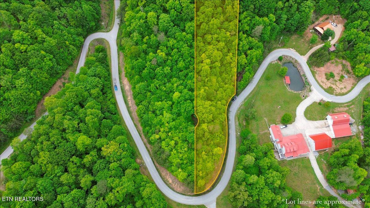 17 Mountain Shores Road New Tazewell, TN 37825 - Photo 5 of 18 05-Mountain Shores