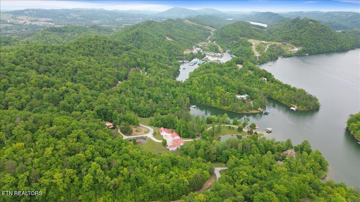 17 Mountain Shores Road New Tazewell, TN 37825 - Photo 6 of 18 06-Mountain Shores
