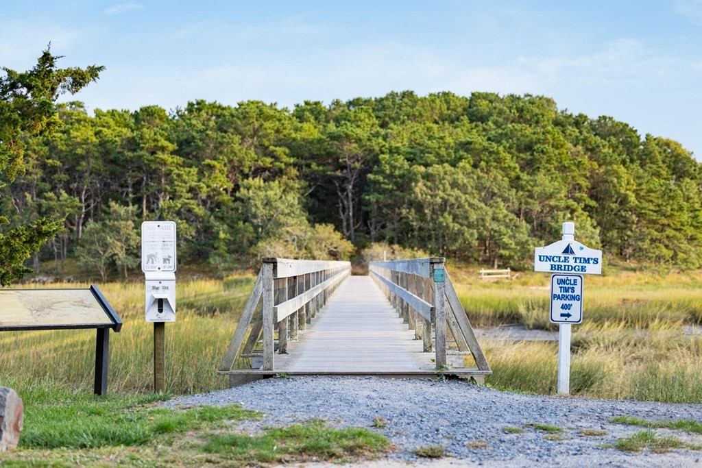 120 Pine Point Road Wellfleet, MA 02667 - Photo 6 of 42 Gallery Image 6