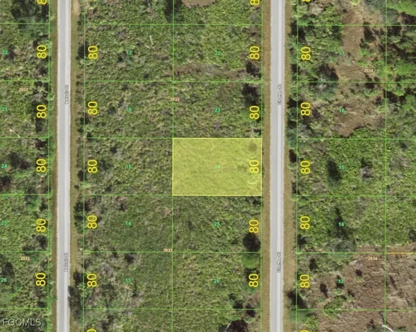 a view of a door in the forest