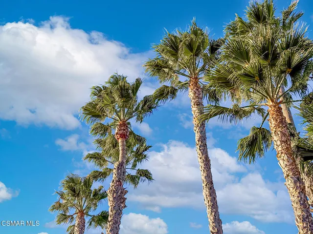 a view of a swimming pool with a lounge chair