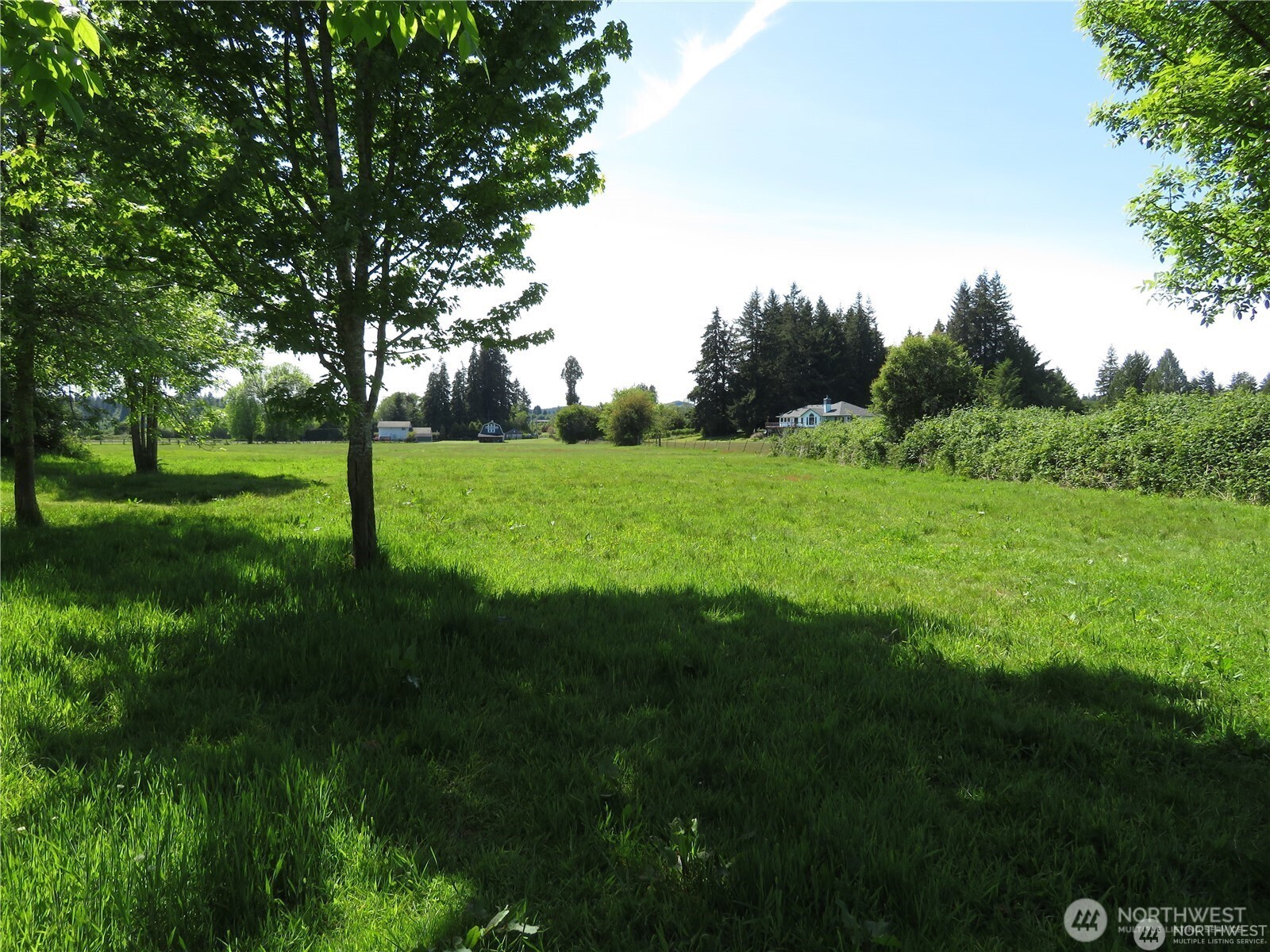 44 Moore Road Elma, WA 98541 - Photo 4 of 30 Gallery Image 4