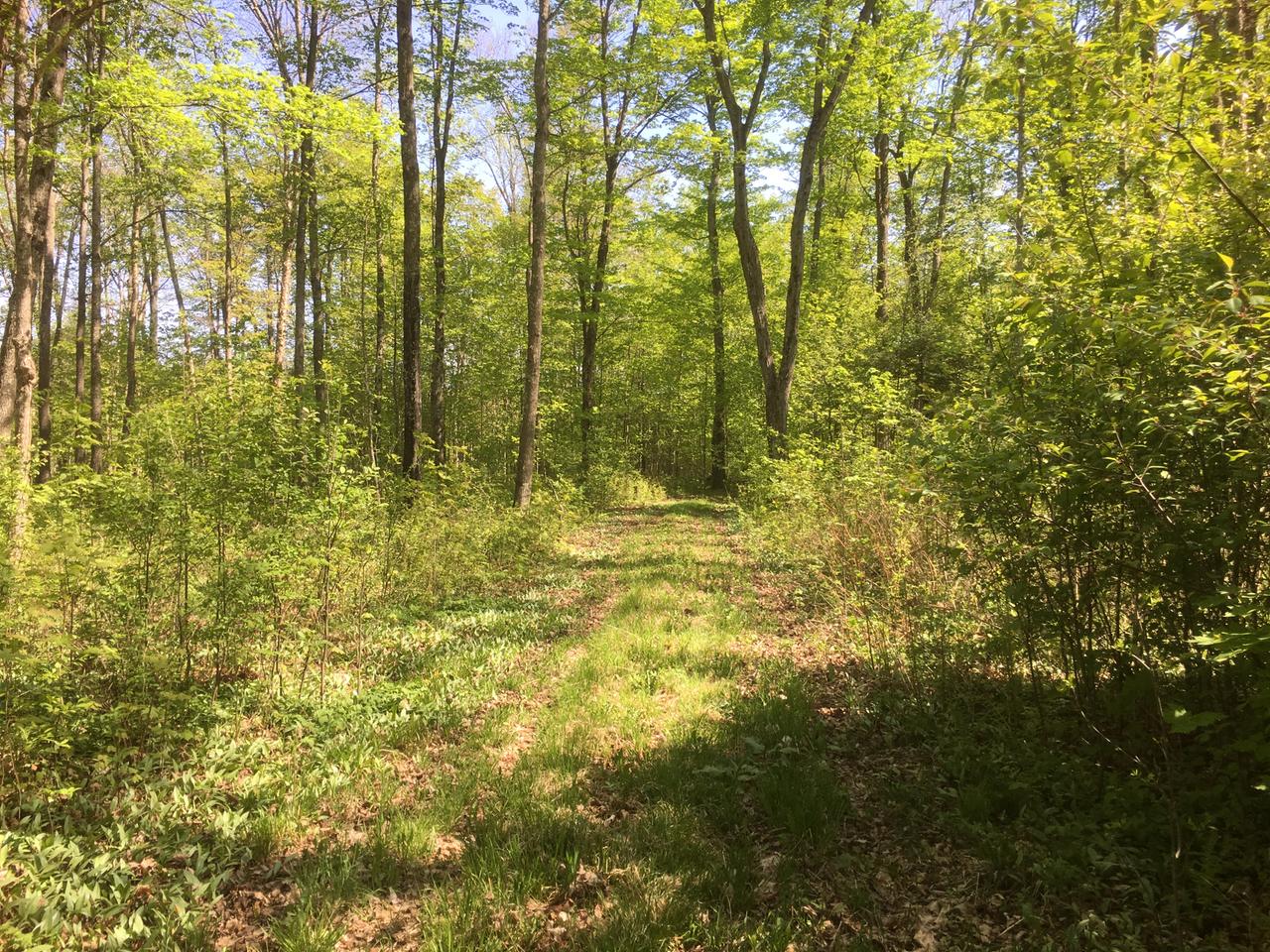 On Johnson Road Antigo, WI 54409 - Photo 2 of 14 Gallery Image 2