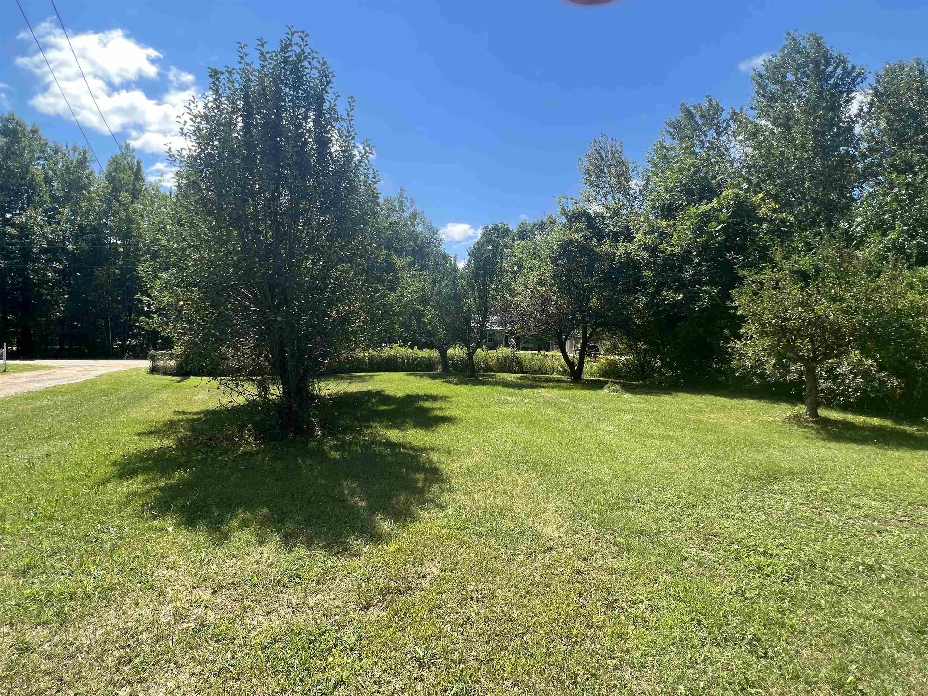 3286 Coolidge Road Beaverton, MI 48612 - Photo 10 of 35