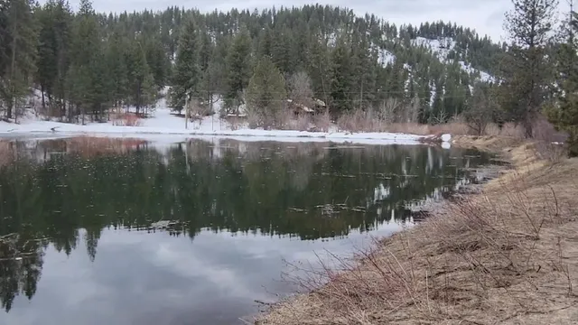 $245,000 | Tbd Peaceful Pines Road, Unit 13, Council, ID 83612