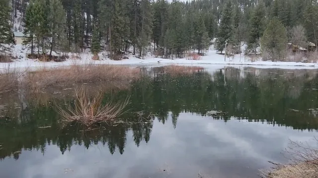 $245,000 | Tbd Peaceful Pines Road, Unit 13, Council, ID 83612