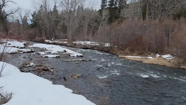 $245,000 | Tbd Peaceful Pines Road, Unit 13, Council, ID 83612