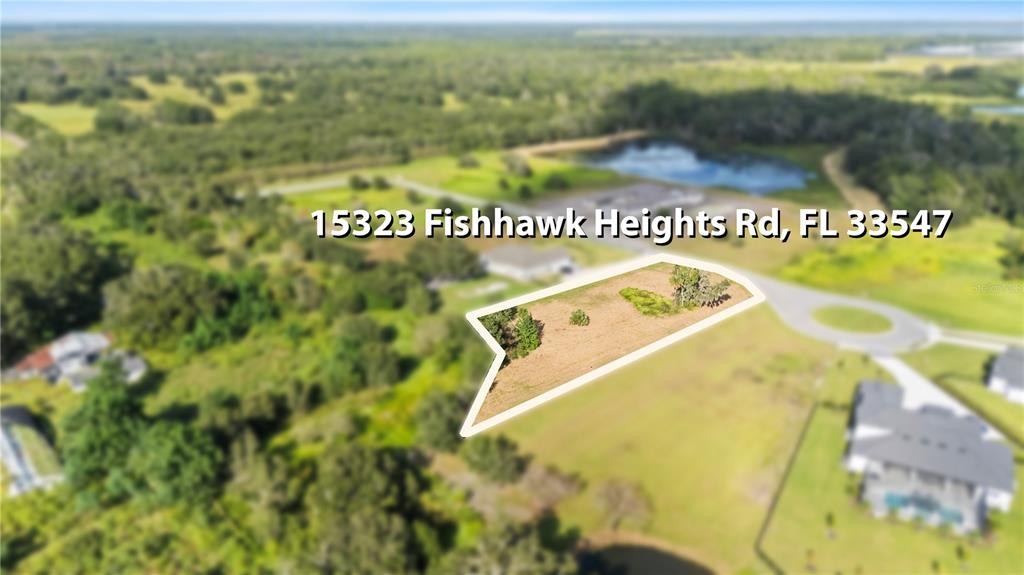 15323 Fishhawk Heights Road Lithia, FL 33547 - Photo 5 of 14