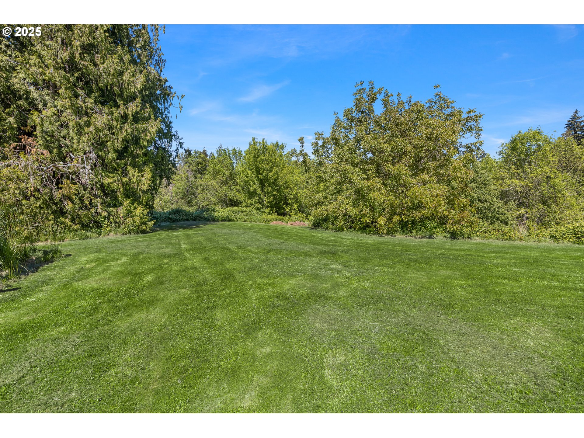 16553 Southwest Meinecke Road Sherwood, OR 97140 - Photo 14 of 29 Gallery Image 14