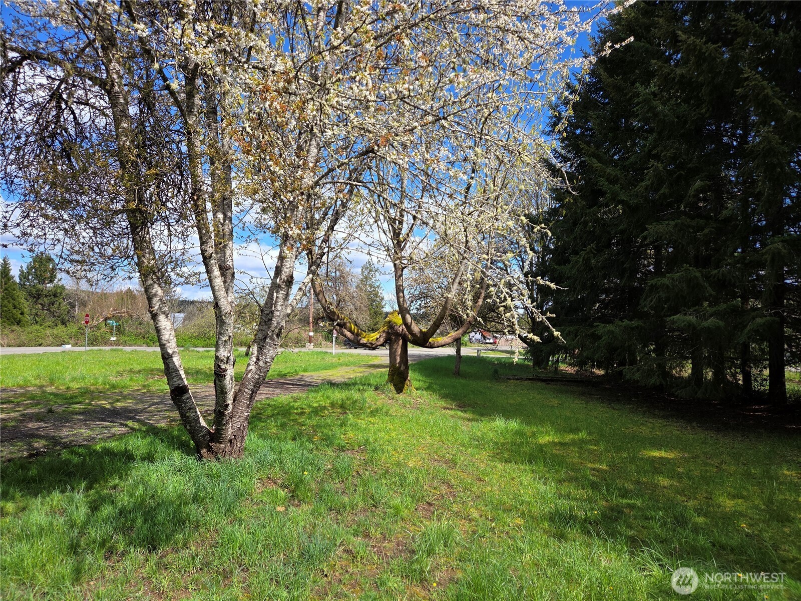 175 Stevens Road Chehalis, WA 98532 - Photo 29 of 32