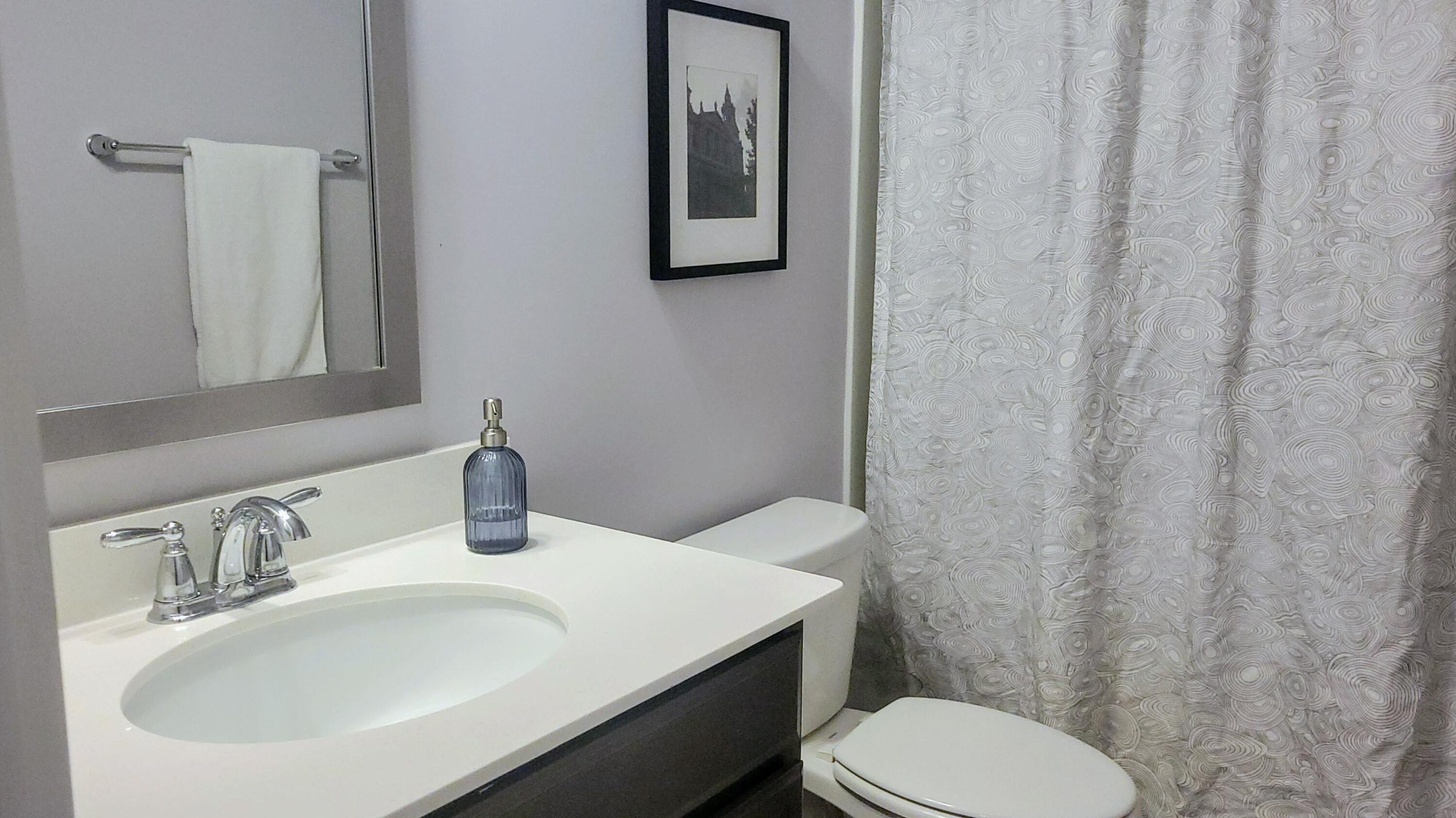 3501 Artful Loop, Unit 16 Mount Pleasant, SC 29466 - Photo 33 of 39 guest bath2