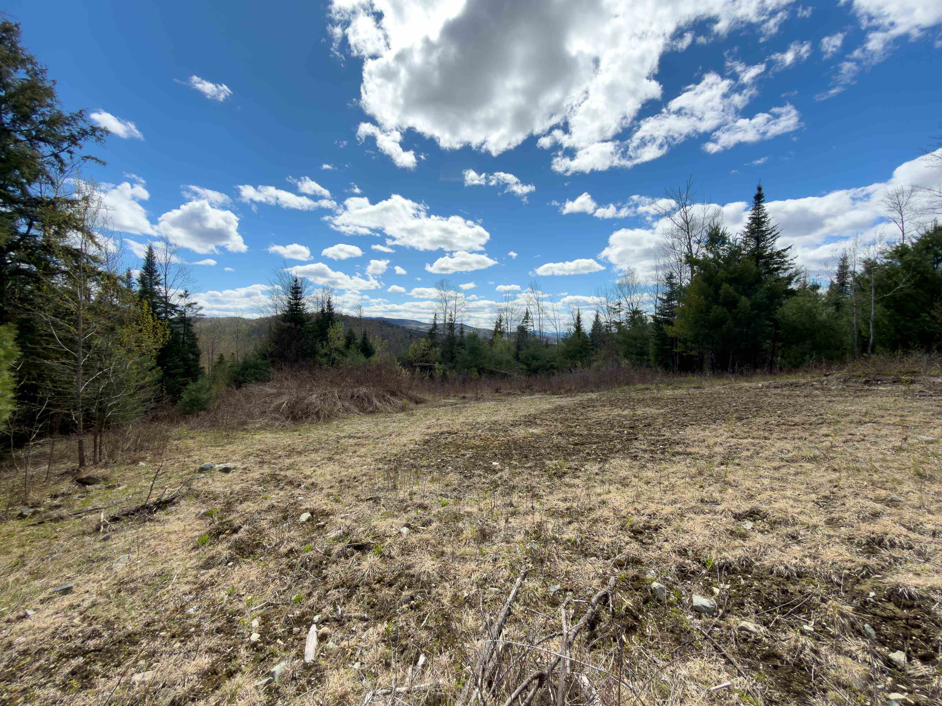 Lot 2 Moore Dam Road Waterford, VT 05819 - Photo 15 of 27