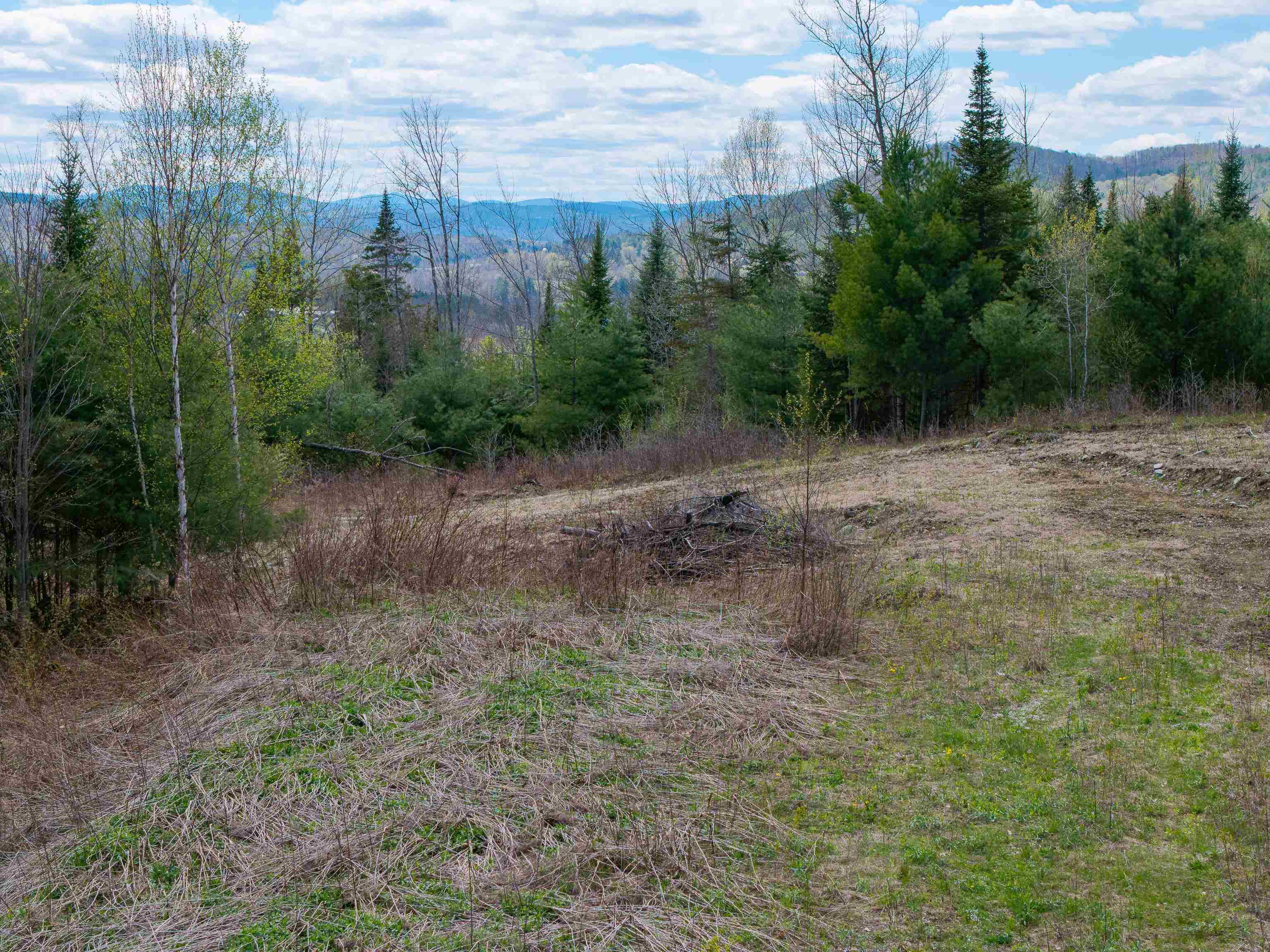 Lot 2 Moore Dam Road Waterford, VT 05819 - Photo 19 of 27