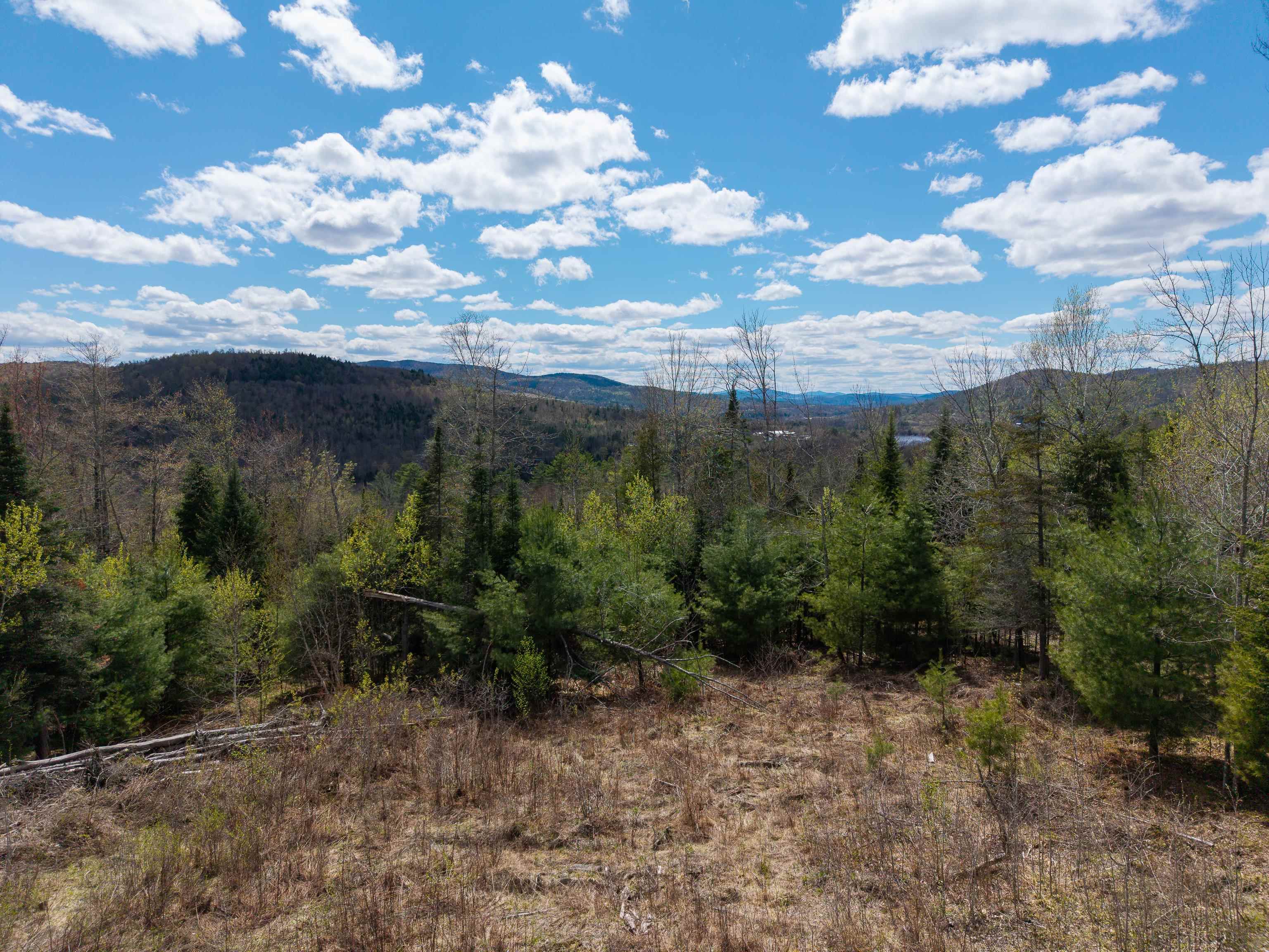 Lot 2 Moore Dam Road Waterford, VT 05819 - Photo 20 of 27