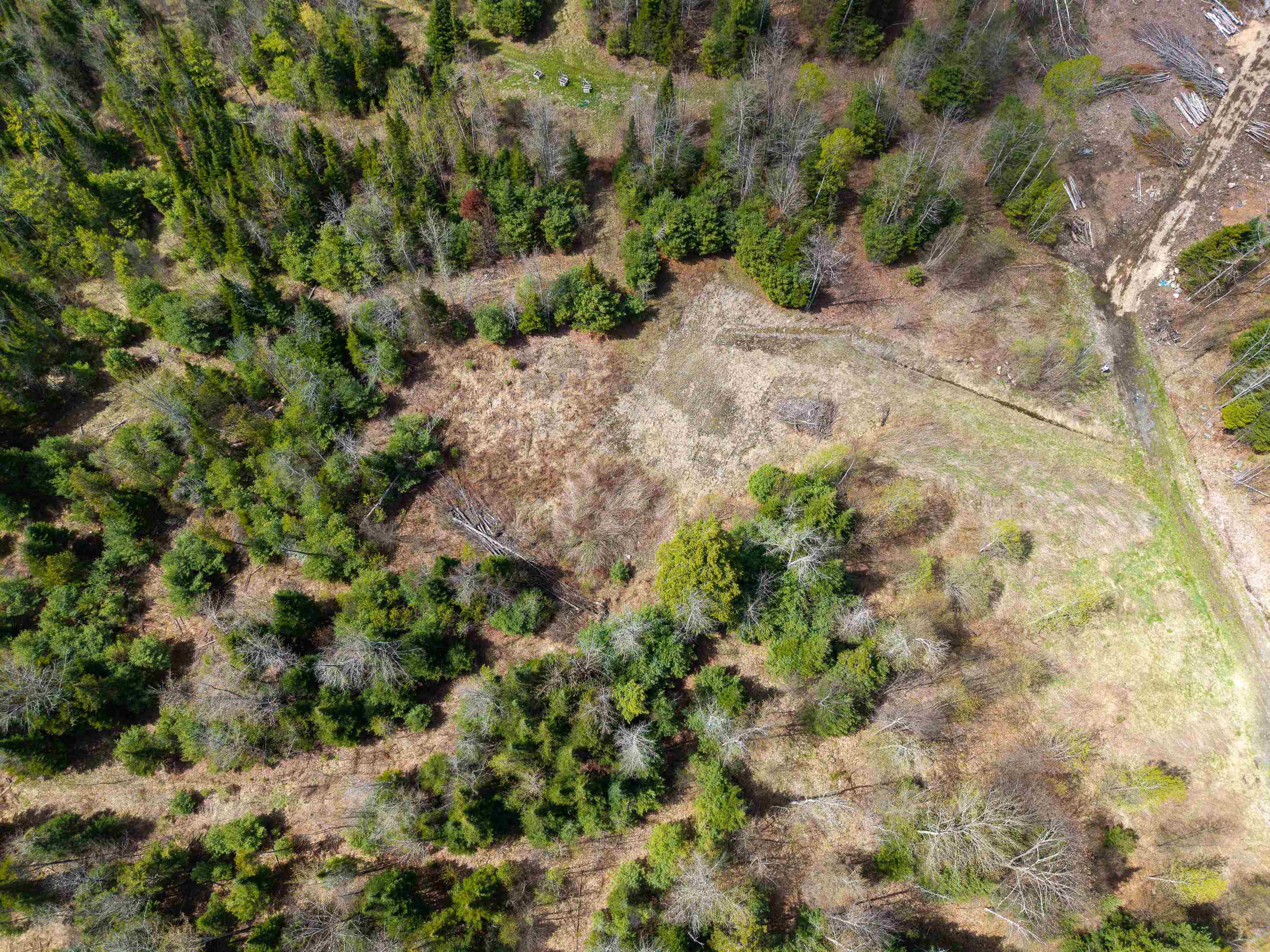 Lot 2 Moore Dam Road Waterford, VT 05819 - Photo 21 of 27