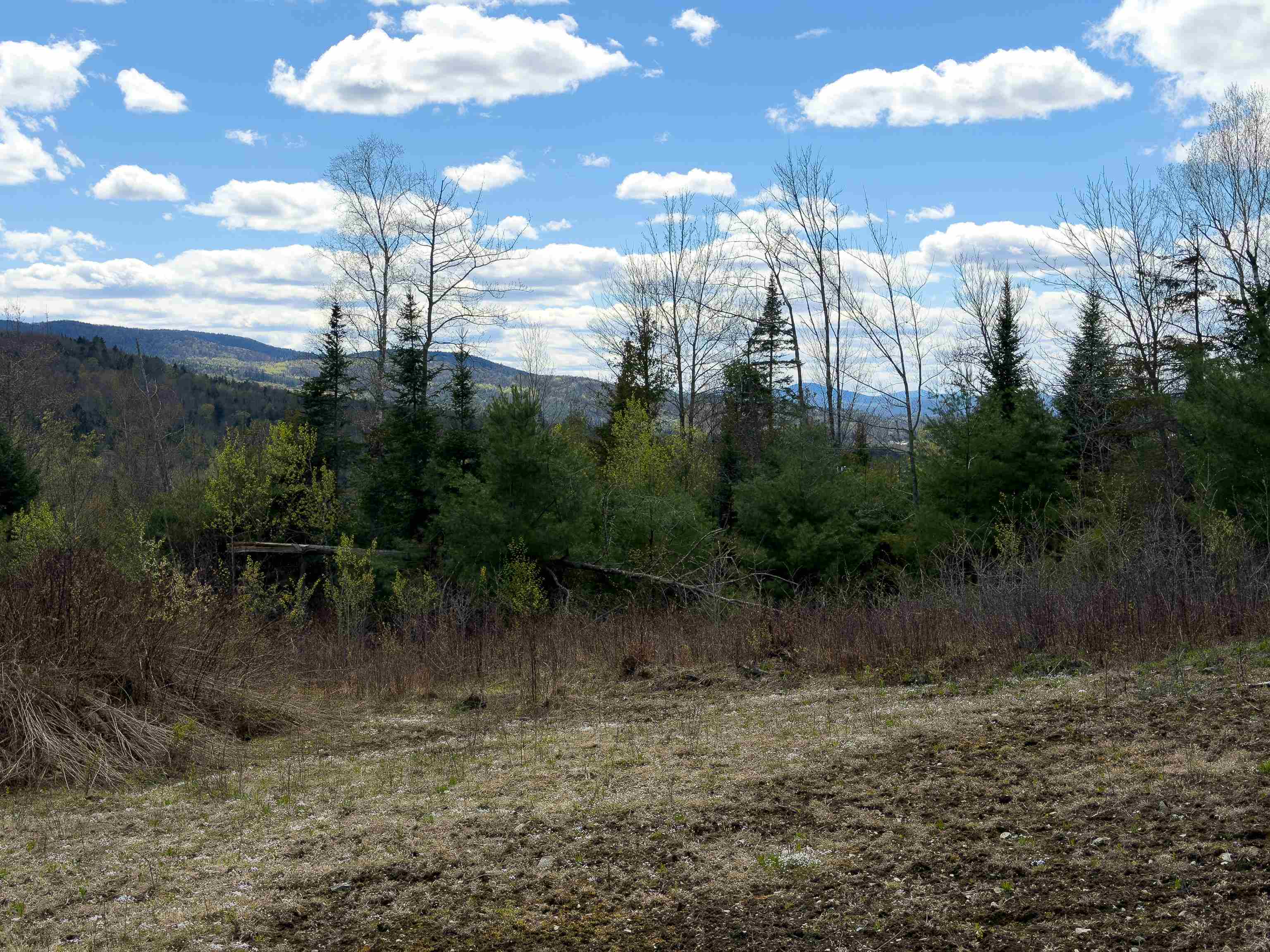 Lot 2 Moore Dam Road Waterford, VT 05819 - Photo 4 of 27