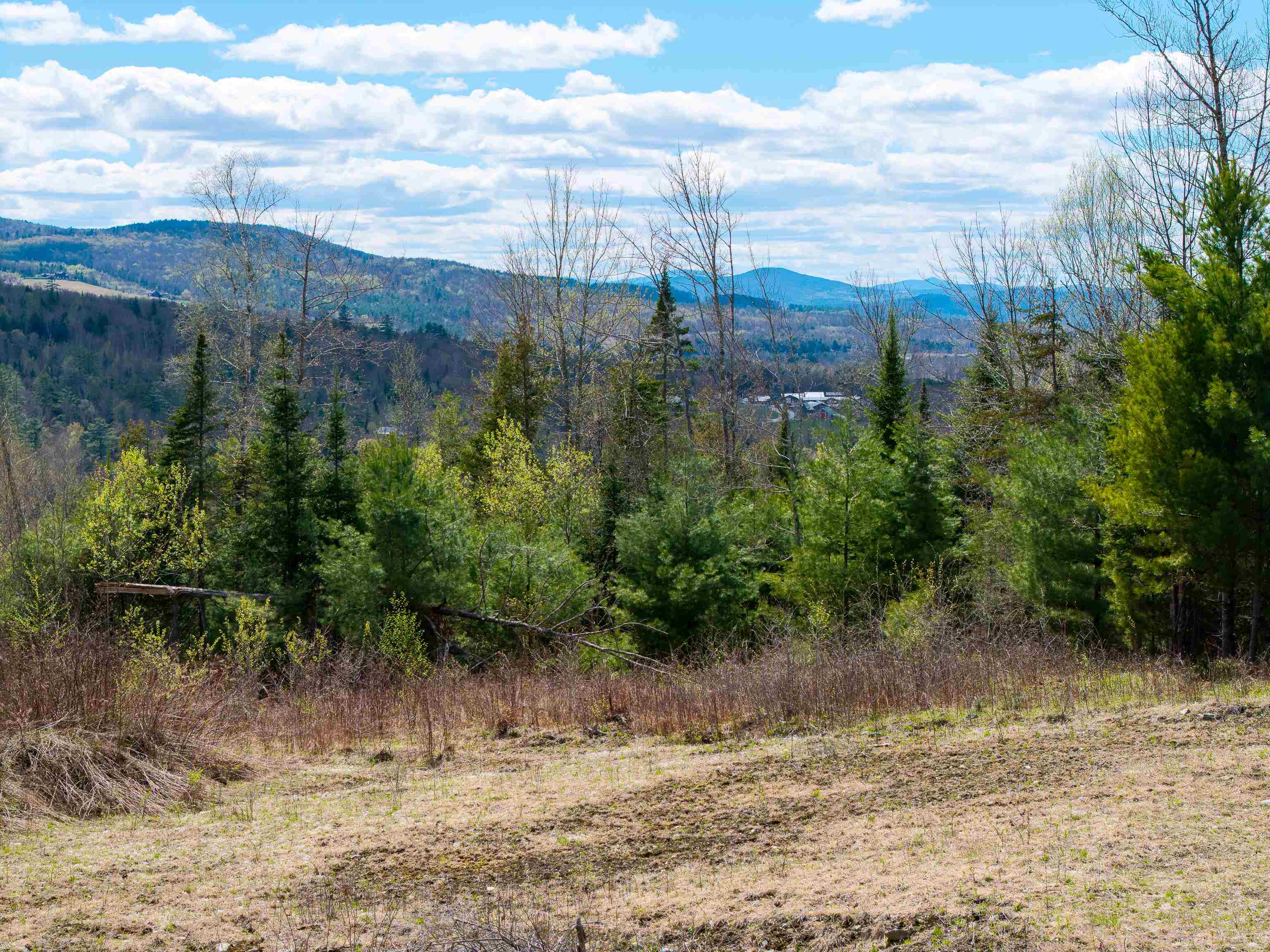 Lot 2 Moore Dam Road Waterford, VT 05819 - Photo 8 of 27