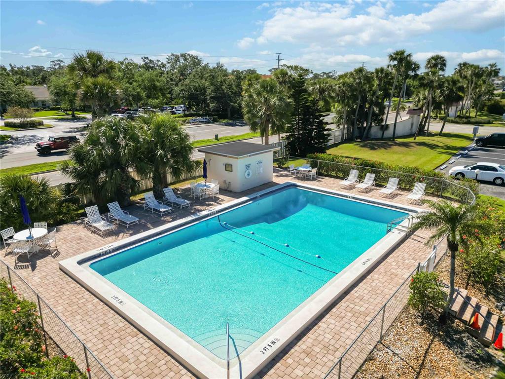 5416 Swift Road, Unit 27 Sarasota, FL 34231 - Photo 34 of 55 a view of a swimming pool with lawn chairs and plants