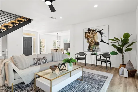 a living room with furniture a rug and a potted plant