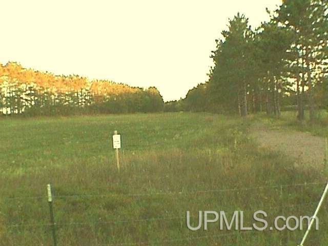 Tbd Ball Road Norway, MI 49870 - Photo 3 of 9