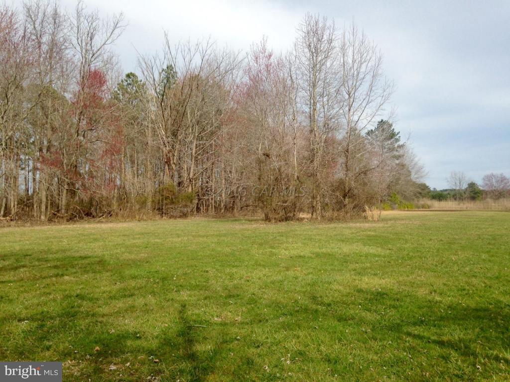 5870 Cornstack Road Marion Station, MD 21838 - Photo 11 of 11 Gallery Image 11