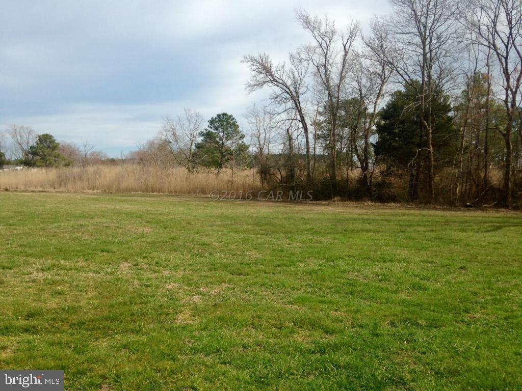 5870 Cornstack Road Marion Station, MD 21838 - Photo 3 of 11 Gallery Image 3