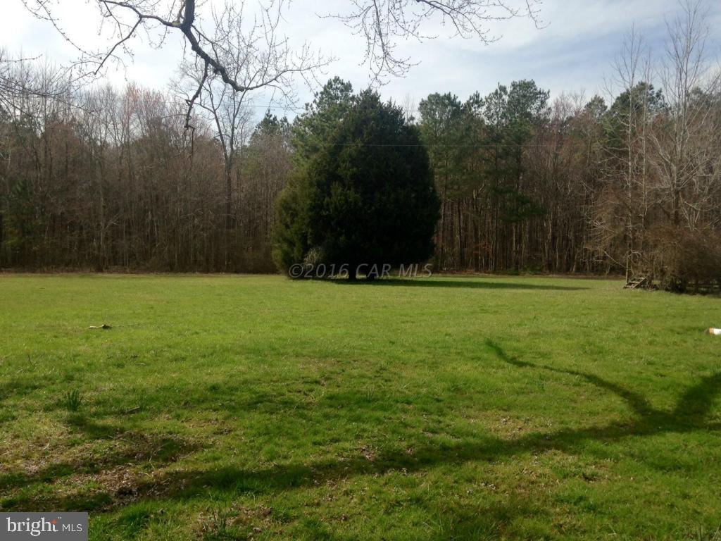 5870 Cornstack Road Marion Station, MD 21838 - Photo 6 of 11 Gallery Image 6