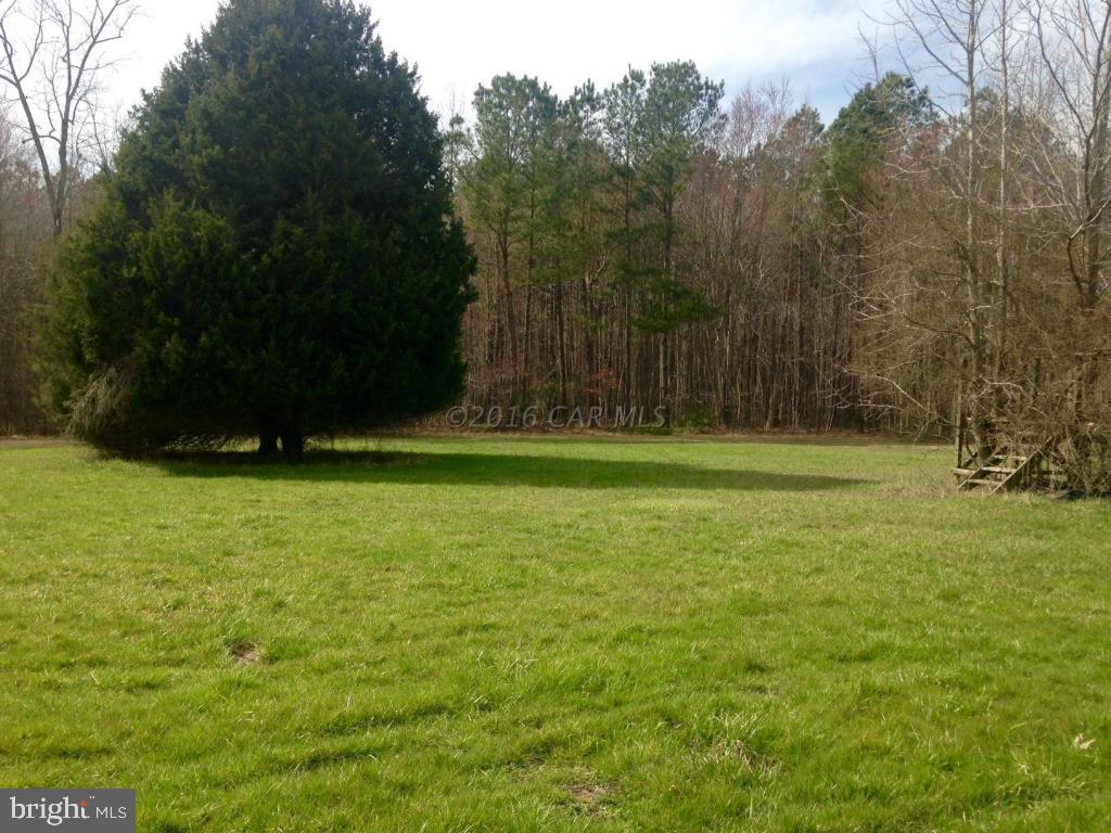 5870 Cornstack Road Marion Station, MD 21838 - Photo 7 of 11 Gallery Image 7