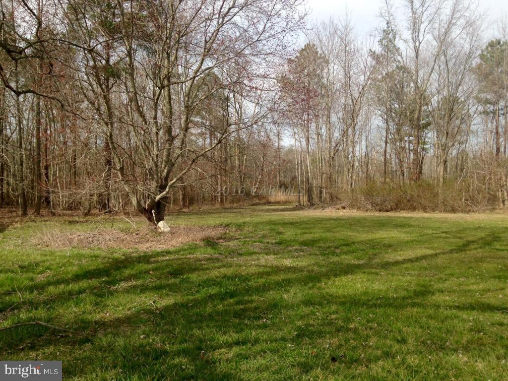 5870 Cornstack Road Marion Station, MD 21838 - Photo 10 of 11 Gallery Image 10