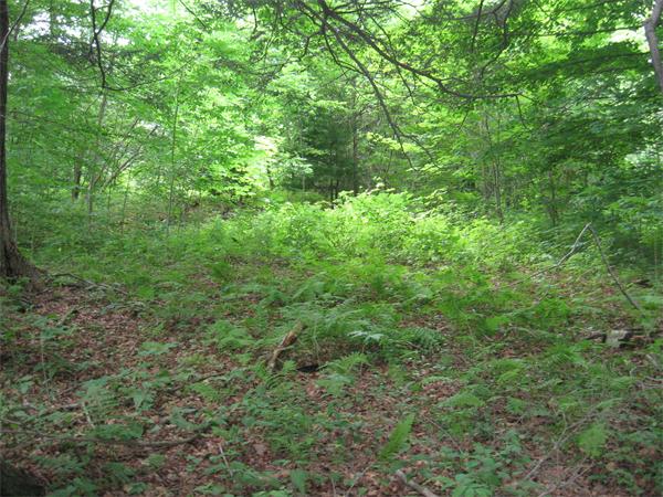 20 Sperry Road Blandford, MA 01008 - Photo 3 of 5 Gallery Image 3